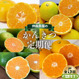 【ふるさと納税】 【全5回】仲森農園の 柑橘定期便 【選べる容量】 ハウスみかん 超極早生温州 極早生温州 由良早生 早生温州 みかん ミカン 蜜柑 温州みかん 温州ミカン 柑橘 みかん定期便 フルーツ定期便 果物定期便 柑橘定期便 フルーツ 果物 くだもの 甘い 三重県 熊野市