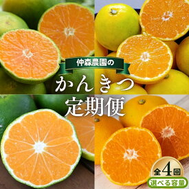 【ふるさと納税】 【全4回】仲森農園の 柑橘定期便 【選べる容量】 超極早生温州 極早生温州 由良早生 早生温州 みかん ミカン 蜜柑 温州みかん 温州ミカン 柑橘 みかん定期便 フルーツ定期便 果物定期便 柑橘定期便 フルーツ 果物 くだもの 甘い 三重県 熊野市 送料無料