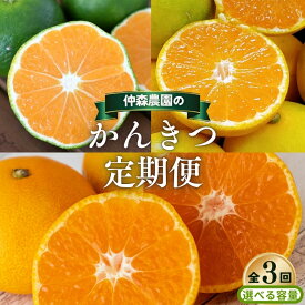 【ふるさと納税】 【全3回】仲森農園の 柑橘定期便 【選べる容量】 極早生温州 由良早生 早生温州 みかん ミカン 蜜柑 温州みかん 温州ミカン 柑橘 みかん定期便 フルーツ定期便 果物定期便 柑橘定期便 フルーツ 果物 くだもの 甘い 旬 人気 三重県 熊野市 送料無料