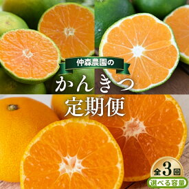 【ふるさと納税】 【全3回】仲森農園の 柑橘定期便 【選べる容量】 超極早生温州 極早生温州 早生温州 みかん ミカン 蜜柑 温州みかん 温州ミカン 柑橘 みかん定期便 フルーツ定期便 果物定期便 柑橘定期便 フルーツ 果物 くだもの 甘い 旬 人気 三重県 熊野市 送料無料