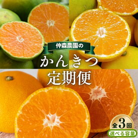 【ふるさと納税】 【全3回】仲森農園の 柑橘定期便 【選べる容量】 超極早生温州 由良早生 早生温州 みかん ミカン 蜜柑 温州みかん 温州ミカン 柑橘 みかん定期便 フルーツ定期便 果物定期便 柑橘定期便 フルーツ 果物 くだもの 甘い 旬 人気 三重県 熊野市 送料無料