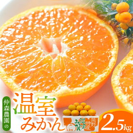【ふるさと納税】【数量限定】仲森農園の温室みかん 2.5kg みかん ミカン 蜜柑 温州みかん 温州ミカン mikan 柑橘 フルーツ 果物 くだもの 産地直送 期間限定 三重県 熊野市 送料無料【2026年7月より順次発送予定（お届け日指定不可）】