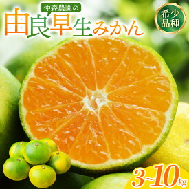 【ふるさと納税】 仲森農園の由良早生みかん 3kg 5kg 7kg 10kg 選べる容量 みかん ミカン 蜜柑 温州みかん 温州ミカン mikan 柑橘 フルーツ 果物 くだもの 早生 甘い 旬 希少 数量限定 期間限定 産地直送 三重県 熊野市 送料無料【2026年11月上旬頃～11月中旬頃に順次発送】