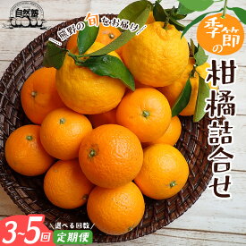 【ふるさと納税】 みかん 定期便 3回 5回 季節の柑橘詰合せ みかん ミカン 温州みかん フルーツ 果物 くだもの 柑橘 不知火 せとか 果物定期便 フルーツ定期便 果物セット フルーツセット 甘い 濃厚 産地直送 数量限定 人気 国産 三重県 熊野市 送料無料