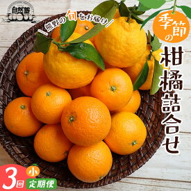 【ふるさと納税】 みかん 定期便 3回 季節の柑橘 詰合せ みかん ミカン 温州みかん フルーツ 果物 くだもの 柑橘 不知火 せとか 果物定期便 フルーツ定期便 果物セット フルーツセット 甘い 濃厚 産地直送 数量限定 人気 国産 三重県 熊野市 送料無料