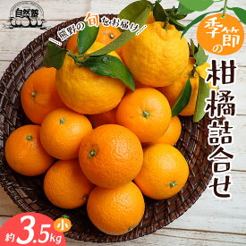 【ふるさと納税】 みかん 季節の柑橘 詰合せ 約3.5kg みかん ミカン 温州みかん フルーツ 果物 くだもの 柑橘 不知火 せとか 果物セット フルーツセット 甘い 濃厚 産地直送 数量限定 人気 国産 三重県 熊野市 送料無料
