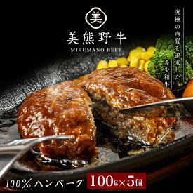 【ふるさと納税】 ハンバーグ 美熊野牛 100％ ハンバーグ 100g×5個 牛肉 肉 ハンバーグ 惣菜 お惣菜 ブランド牛 和牛 黒毛和牛 国産牛 霜降り 赤身 おかず 小分け 簡単調理 人気 希少 おすすめ 三重県 熊野市 黒毛和牛の岡田 送料無料