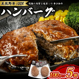 【ふるさと納税】 ハンバーグ 美熊野牛 100％ ハンバーグ 100g×5個 牛肉 肉 ハンバーグ 惣菜 お惣菜 ブランド牛 和牛 黒毛和牛 国産牛 霜降り 赤身 おかず 小分け 簡単調理 人気 希少 おすすめ 三重県 熊野市 黒毛和牛の岡田 送料無料