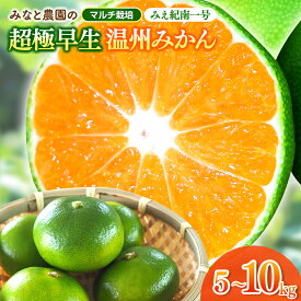 【ふるさと納税】 【数量限定】みなと農園のみえ紀南一号 超極早生 5kg 10kg 2S～Lサイズ混合 マルチ栽培 選べる容量 みかん ミカン 蜜柑 温州みかん 温州ミカン mikan 柑橘 フルーツ 果物 くだもの 甘い 旬 人気 産地直送 三重県 熊野市【2026年9月中旬頃〜順次発送】