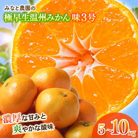 【ふるさと納税】 【数量限定】みなと農園の味3号 温州みかん 5kg 10kg 2S～Lサイズ混合 選べる容量 みかん ミカン 蜜柑 温州みかん 温州ミカン mikan 柑橘 フルーツ 果物 くだもの 極早生 甘い 旬 人気 三重県 熊野市 送料無料【2026年10月中旬頃〜順次発送】