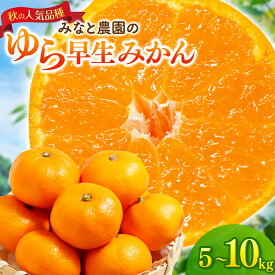 【ふるさと納税】 【数量限定】みなと農園のゆら早生みかん 5kg 10kg 2S～Lサイズ混合 選べる容量 みかん ミカン 蜜柑 温州みかん 温州ミカン 柑橘 mikan フルーツ 果物 くだもの 早生 甘い 旬 人気 産地直送 三重県 熊野市 送料無料【2026年10月中旬頃〜順次発送】