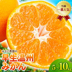 【ふるさと納税】 【数量限定】みなと農園の温州みかん 早生 5kg 10kg 2S～Lサイズ混合 選べる容量 みかん ミカン 蜜柑 温州みかん 温州ミカン mikan 柑橘 フルーツ 果物 くだもの 甘い 旬 人気 産地直送 三重県 熊野市 送料無料【2026年12月上旬頃〜順次発送】