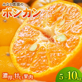 【ふるさと納税】 【数量限定】ポンカン 5kg 10kg 選べる容量 みかん ミカン mikan 蜜柑 ポンカン 柑橘 フルーツ 果物 くだもの 甘い 旬 人気 産地直送 三重県 熊野市 送料無料 みなと農園【2027年2月上旬頃〜順次発送】
