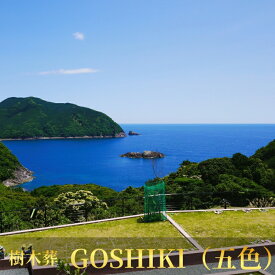 【ふるさと納税】 樹木葬プレート個別プラン 2霊用 4霊用 6霊用/樹木葬 永代供養 お墓不要 墓じまい 終活 供養 三重県 熊野市