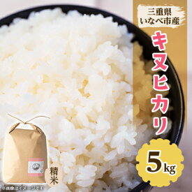 【ふるさと納税】令和5年産　キヌヒカリ 5kg【1431743】