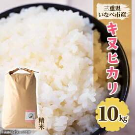 【ふるさと納税】令和5年産　キヌヒカリ 10kg【1431744】