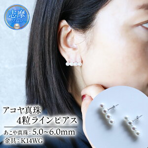 yӂ邳Ɣ[Łz p[D ^ sAX K18 K14 5.0~ ` 6.0~ ANZT[ p[ S[h Od ɐ u v[g lC NX}X o^C fB[X / AR^ 5-6 ~