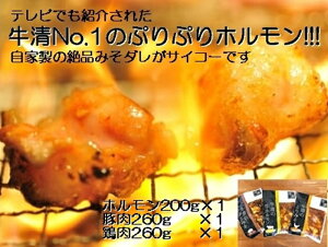 yӂ邳Ɣ[Łz Ɛ ݂_ BZbg z 200g ؓ { e1 / јaz  o[xL[ BBQ Lv  Ԃ Ƃ  X t ɐu Od us L