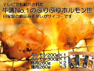 yӂ邳Ɣ[Łz Ɛ ݂_ KZbg  z 200g 300g×e1 ؓ ×2 { ×3/ јaz  o[xL[ BBQ Lv  Ԃ Ƃ  X t ɐu