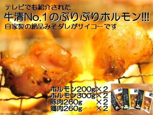 yӂ邳Ɣ[Łz Ɛ ݂_ PZbg  z 200g 300g×e2 ؓ ×2 { ×2/ јaz  o[xL[ BBQ Lv  Ԃ Ƃ  X t ɐu