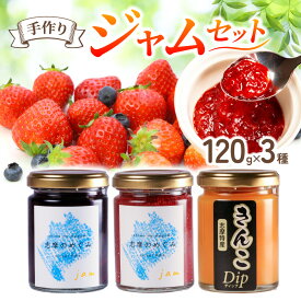 【ふるさと納税】 ジャム 3個 フルーツ 果物 詰め合わせ トースト パン セット いちご 苺 ストロベリー レッドパール ブルーベリー きんこ 芋 お供 朝食 朝ご飯 無添加 手作り 贈り物 プレゼント ギフト 手作り 三重県 志摩市 志摩のめぐみジャムセット 5000円 五千円 5千円