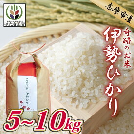 【ふるさと納税】 【選べる】 伊勢ひかり 5kg 10kg お米 白米 精米 米 おすすめ 国産 三重県 志摩市 伊勢 志摩 伊勢奉祝 奇跡のお米 5キロ 10キロ ごはん ご飯 こめ コメ おこめ