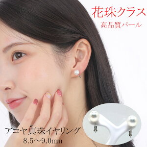 yӂ邳Ɣ[Łz ^ ANZT[ CO p[ 8.5mm ` 9mm K14 fB[X ɐu ɐ u   w Ǝ l c WG[ AR^ Ԏ 嗱 / V܂