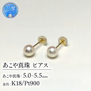yӂ邳Ɣ[Łz ^ sAX 5.0`5.5~ ( K18 / Pt900 ) ANZT[ p[ AR^ ɐ u pp  c   w Ǝ Mtg tH[} JWA LO 3000