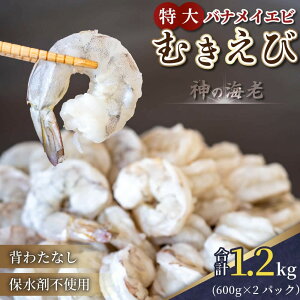 yӂ邳Ɣ[Łz I ^oiCGr 1.2kg t 600g × 2 w^  Gr CV oiCGr ނ lC Ⓚ g₷ Z ֗  CN CY 17000~ 17~ 