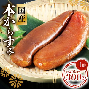 yӂ邳Ɣ[Łz {炷 250g ` 300g ʌ Ⓚ JX~ n   ̍ ܂  Y {  Mtg 蕨 j LO Y Od us ɐ u