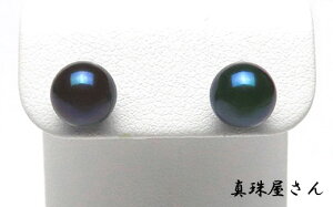 yӂ邳Ɣ[Łz ^쉮  7.5~8.0 ~ i v`i sAX Pt900 uY AR ^ ubNp[ ^ / ^ ANZT[ sAX p[ ɐu u ANZT[ 