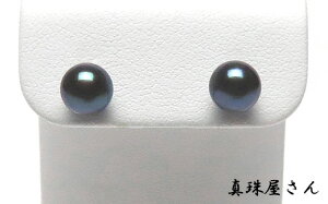 yӂ邳Ɣ[Łz ^쉮  6.0`6.5~ i v`i sAX Pt900 uYAR^ ubNp[ ^ yʌz / ^ ANZT[ p[ WG[ Od ɐ