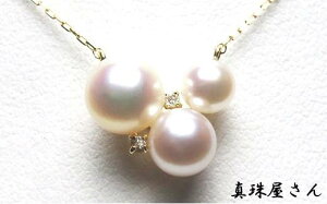 yӂ邳Ɣ[Łz ^쉮  zCgsN 6.9`4.5~ 3 iK18 Pt850AR{^lbNX  lbNX y_g ^ ɐu u ANZT[ Mtg p[ 