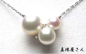 yӂ邳Ɣ[Łz ^쉮  zCgsN 6.9`4.5~ 3 iK18 Pt850AR{^lbNX  lbNX y_g ^ ɐu u ANZT[ Mtg p[ 