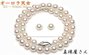 yӂ邳Ɣ[Łz ^쉮 I[V Ԏ AR ^ lbNX Zbg 8.5`9.0~ y^Ȋwӕʏtz p[  lbNX sAX CO ɐu u u