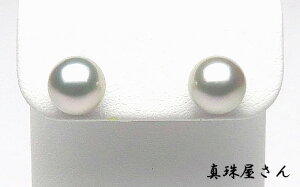 yӂ邳Ɣ[Łz ^쉮  7.5`8.0~ i v`i sAX Pt900 uYAR^ u[O[p[ / ^ ANZT[ p[ WG[ Od ɐu us 