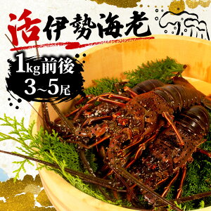 �y�ӂ邳�Ɣ[�Łz �ɐ��C�V �� 1kg 3�� �` 5�� �C�V ���� �G�r �V�R ���� �ɐ��G�r ���Ԍ��� �������� �ӂ邳�Ɣ[�ňɐ��C�V �ӂ邳�Ɣ[�ŃG�r �h�g BBQ �o�[�x�L���[ ���X�` �C�N ���� �N�� �V