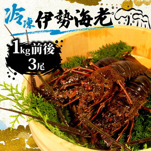 yӂ邳Ɣ[Łz ɐCV  1kg 3 ` 5 CV  Gr VR  ɐGr Ԍ  ӂ邳Ɣ[ňɐCV ӂ邳Ɣ[ŃGr hg BBQ o[xL[ X` CN  N V