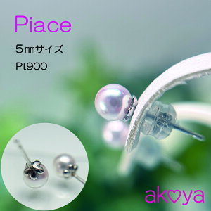 yӂ邳Ɣ[Łz ^ sAX ANZT[ v`i p[ 5~ ` 5.5~ AR^ ɐ u ɐu   w Ǝ Mtg v[g fB[X JWA a