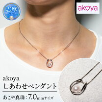楽天市場】馬蹄 ネックレス（種類（宝石）パール・真珠）（ネックレス 