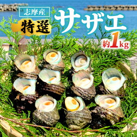 【ふるさと納税】 サザエ 1kg 新鮮 海鮮 海産物 魚介 魚貝 サザエ 栄螺 貝 刺身 刺し身 お造り つぼ焼き グリル BBQ バーベキュー キャンプ 夏 ギフト 贈り物 志摩産 特選 三重 志摩 伊勢志摩 10000円 1万円 一万円 今が旬