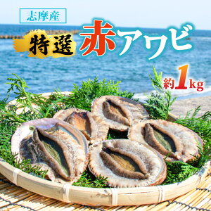yӂ邳Ɣ[Łz Ar 1kg VR ԃAr uY ① VN  ɐ us CN  CY Y { { L  hg hg hg  o[xL[ BBQ Od ɐu Ԍ ċG