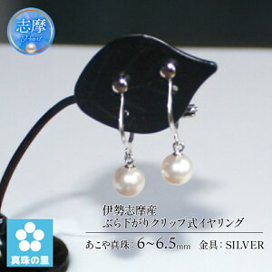 yӂ邳Ɣ[Łz ^ CO ANZT[ p[ Vo[ Od ɐu us v[g NX}X o^C zCgf[ JWA fB[X 60000~ 6~ Z~ / 