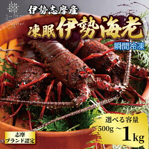 yӂ邳Ɣ[Łz ɐCV 500g`1kg Iׂ Ⓚ ɐ u Od ɐ ɐGr VN  Gr H  Ε  NNn  CN  N Mtg   BBQ Ă