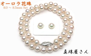 yӂ邳Ɣ[Łz ^쉮 Ԏ8.0`8.5~ AR^lbNX yAZbgy^Ȋw I[Ԏӕʏtz