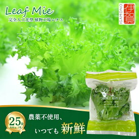 【ふるさと納税】 【農薬不使用】Leaf Mie（完全人工光型植物工場レタス) 約80g×25個