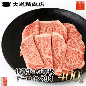 yӂ邳Ɣ[Łzyϔ ɉꋍz A5T[C ēp 400g |  ɉꋍ  T[C ē Xe[L Hi Zbg lߍ킹  Mtg v[g  yVӂ邳 [ ԗ