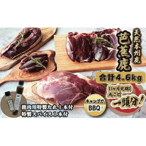 yӂ邳Ɣ[Łzy3zVRmԎ ꓪ v4.6kg p1{EXpCX1{t