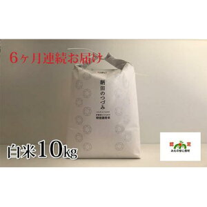 �y�ӂ邳�Ɣ[�Łz�ߘa7�N�x�Y ���ʍ͔|�� �ɉ�ăR�V�q�J�� �ۓc�̂Â� ���� 10kg�i6�����A��)