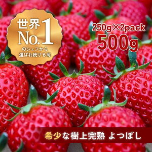 yӂ邳Ɣ[ŁzynNtgBERRYzLVFtpBy㊮nڂz500gio2025N12{`2026N5{j | Hi HHi lC  